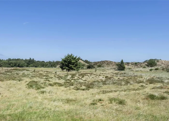 Bv130-blavand-gl-hovej-53 Holiday home *